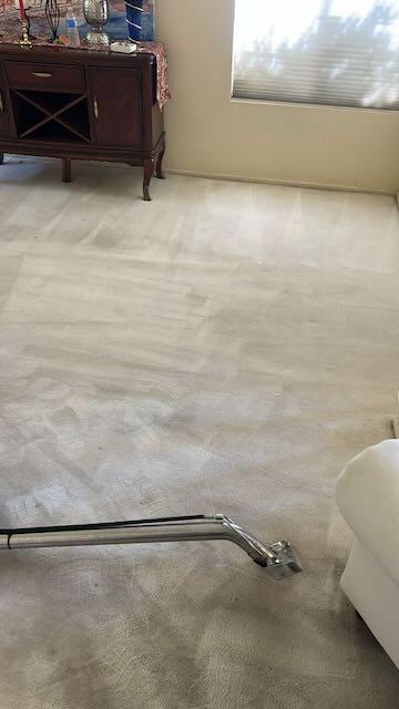 American Carpet & Rug Cleaning - Carpet Cleaning