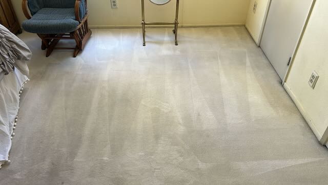 American Carpet & Rug Cleaning - Carpet Cleaning American Carpet & Rug Cleaning - Carpet Cleaning